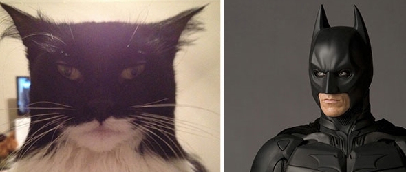 Fotografías graciosas de gatos que se parecen a personajes y otros objetos