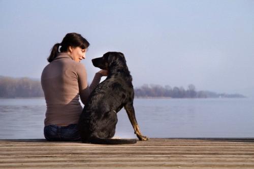 Ama a tu mascota y vive con integridad