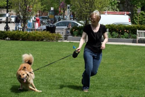Aprende a caminar con tu perro