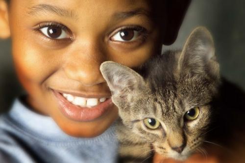 Beneficios y enseñanzas de los gatos en los niños