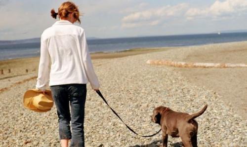 Caminando con tu perro por la salud de ambos