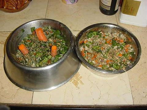 Comidas caseras para nuestro perro