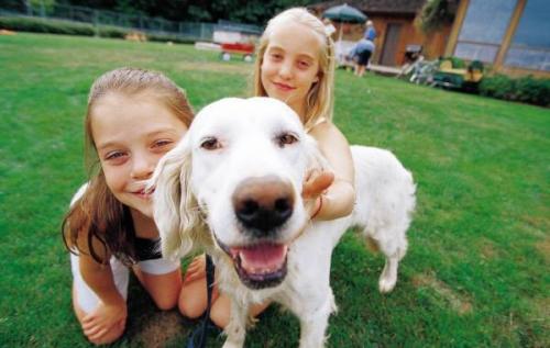 Como hacer feliz a nuestro perro