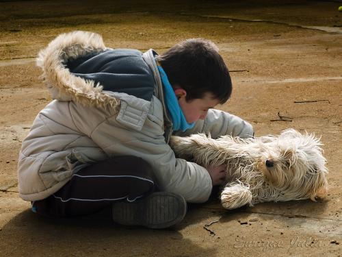 Como prevenir las enfermedades transmitidas por las mascotas