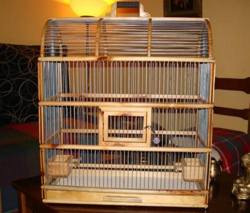 Compra jaulas seguras y de calidad para tu pájaro