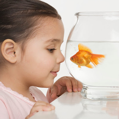 Consejos acurio de peces para niños