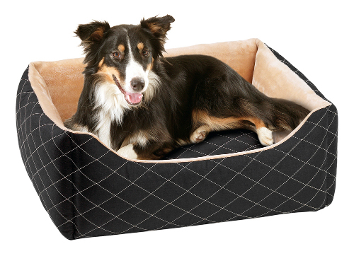 Consejos para comprar camas apropiadas para los perros