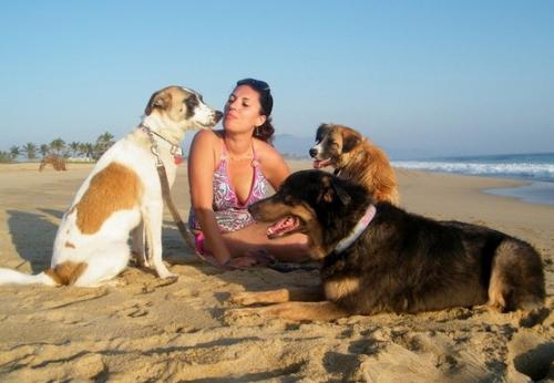 Consejos: vacaciones en la playa con tu perro