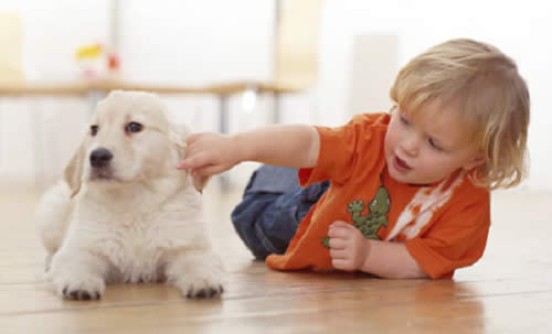 El perro ideal para un hogar con niños