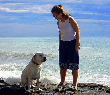 Entrenando al perro desde cachorro