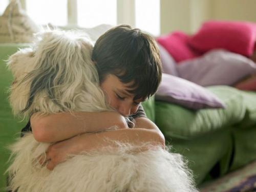 La pérdida de una mascota