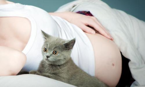 La toxoplasmosis de los gatos y las mujeres embarazadas