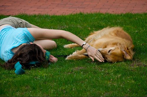 Libertad de compartir amor con la mascota