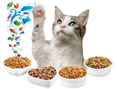 Los gatos y las vitaminas para su salud