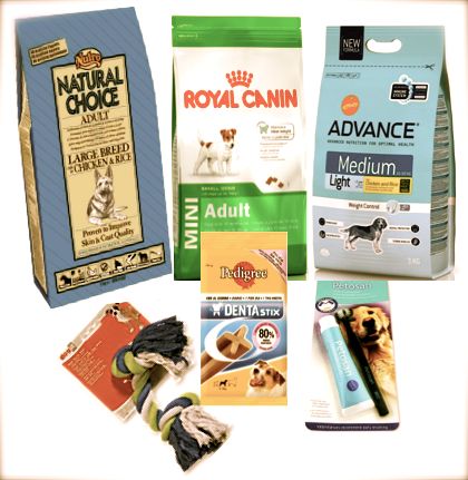 Los mejores productos para la higiene dental de los perros