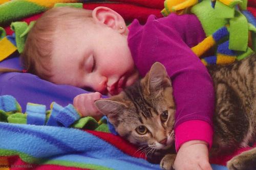 Los niños con gatos de grandes no sufren de alergia