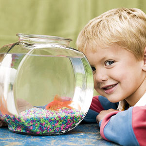 Los peces son la primera mascota ideal para niños