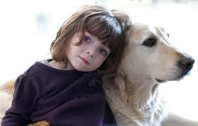 Los perros tienen emociones muy parecidas a las de los niños