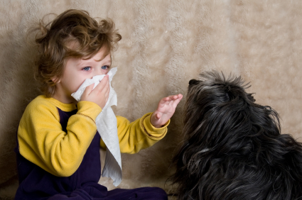 Los perros y las personas con alergias