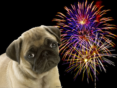 Los perros y su fobia a los fuegos artificiales