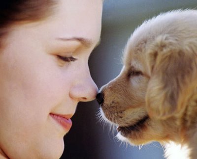 Mascotas y su beneficio para la conciencia humana