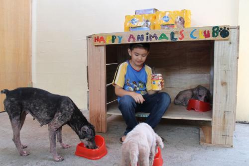 Niño abre refugio para perros y gatos abandonados