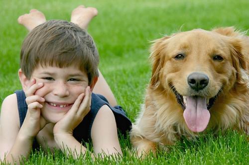 Niños, aprendiendo a vivir con las mascotas