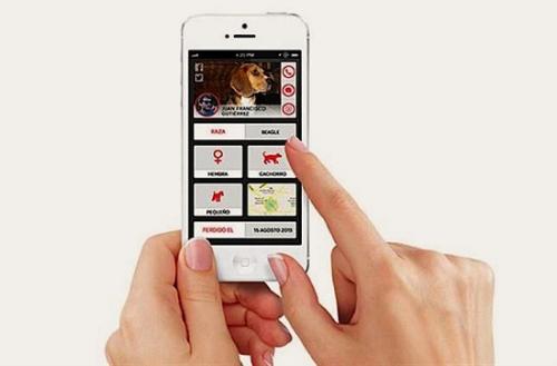 Nueva aplicación para localizar a tu mascota