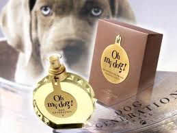 Oh my dog! La nueva fragancia para perros