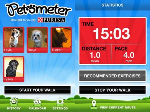 Petometer, app móvil para ejercitar a tu perro