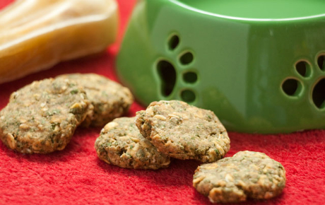 Preparando galletas caseras para tu perro