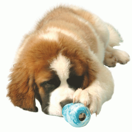 Puppy Kong, el nuevo juguete para cachorros