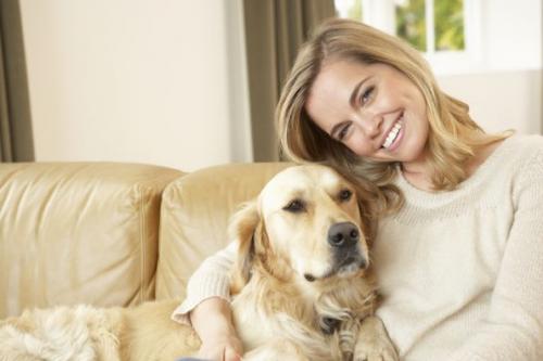 Reflexiones Historias de Amor con tu mascota