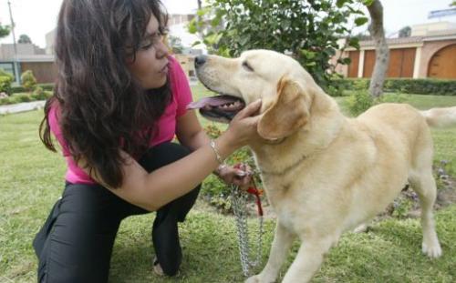 Responsabilidad antes de tener una mascota