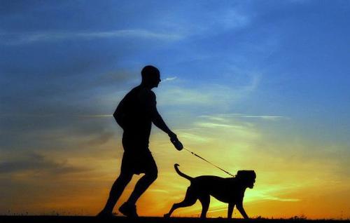 Salir a correr y hacer ejercicios con el perro