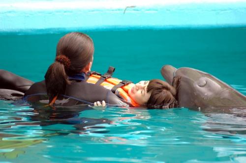 Terapia con delfines
