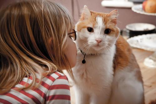 Test para descubrir si eres un Cat Lover