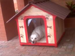 Una casa ecológica para nuestro perro
