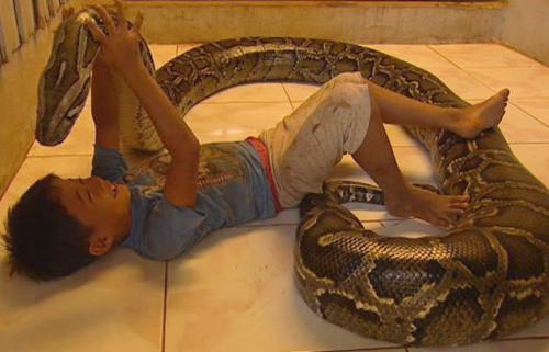 Una serpiente en casa
