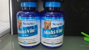 Ventajas y desventajas de las vitaminas para mascotas