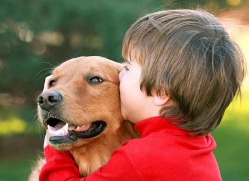 Zooterapias con perros mejorar vida de los niños autistas
