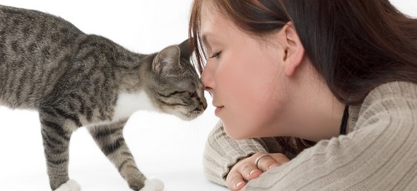A los gatos les encantan más las mujeres que los hombres