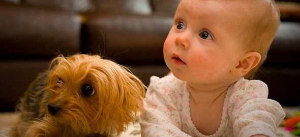 Los bebés que conviven con mascotas mejoran su sistema inmunológico