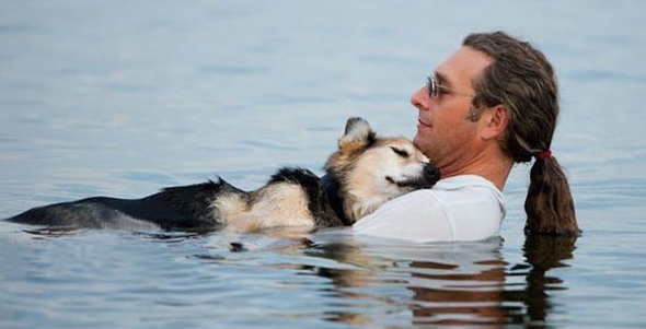 Reflexiones, el alma de las mascotas y nuestra capacidad de amar