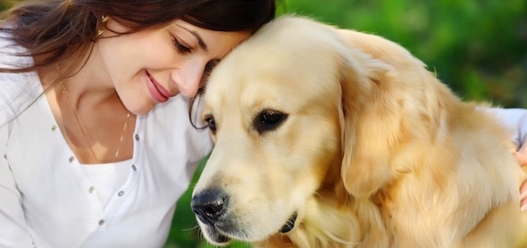 Tener una mascota mejora el alma