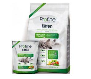 Profine Cat Kitten